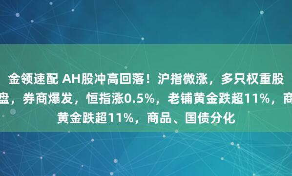 金領(lǐng)速配 AH股沖高回落！滬指微漲，多只權(quán)重股尾盤競價遭拋盤，券商爆發(fā)，恒指漲0.5%，老鋪黃金跌超11%，商品、國債分化